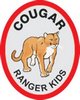 Cougar oval 80x100